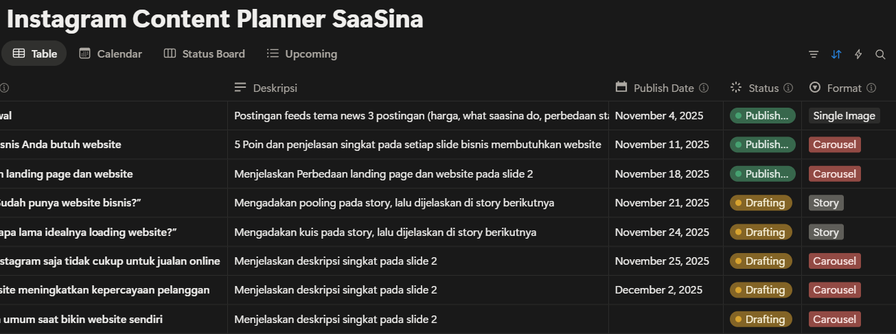 Saasina Business Plan